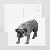 Quick Cheer Bulldog Postkarte (Vorne/Hinten)