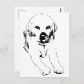 Quick hello from a Lab Postkarte (Vorne/Hinten)