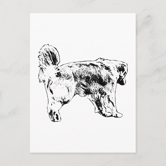 Quick Hello, Golden Retriever Postkarte (Vorderseite)