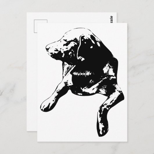 Quick Hello, Head-Turn-Labrador Postkarte (Vorne/Hinten)