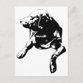 Quick Hello, Head-Turn-Labrador Postkarte (Vorderseite)