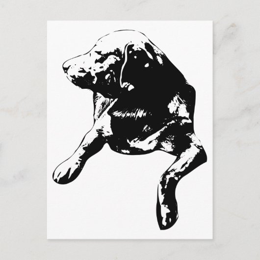 Quick Hello, Head-Turn-Labrador Postkarte (Vorderseite)