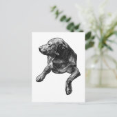 Quick Hello mit feinen Punkten Postkarte (Stehend Vorderseite)