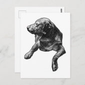 Quick Hello mit feinen Punkten Postkarte (Vorne/Hinten)