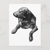 Quick Hello mit feinen Punkten Postkarte (Vorderseite)