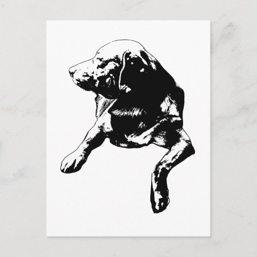 Quick Hello, Side-Turn-Labrador Postkarte (Vorderseite)