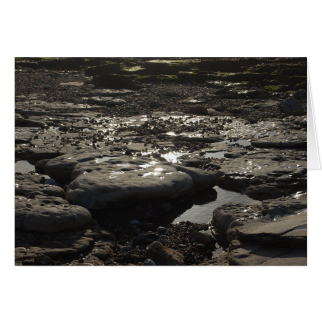 Quicksilver (Vorderseite (Horizontal))