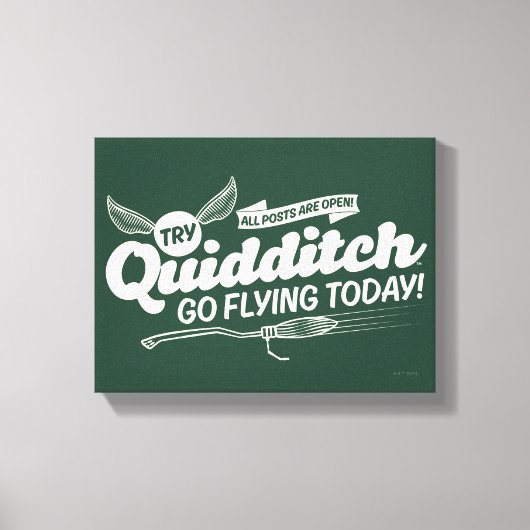 QUIDDITCH™ Rekrutierungspaket Leinwanddruck (Vorderseite)