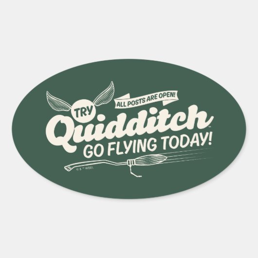 QUIDDITCH™ Rekrutierungspaket Ovaler Aufkleber (Vorderseite)
