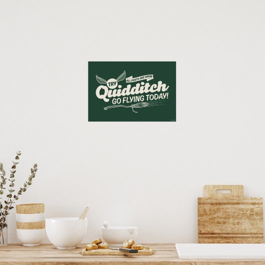 QUIDDITCH™ Rekrutierungspaket Poster (Küche)