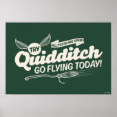 QUIDDITCH™ Rekrutierungspaket Poster (Vorne)