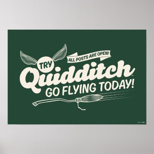 QUIDDITCH™ Rekrutierungspaket Poster (Vorne)