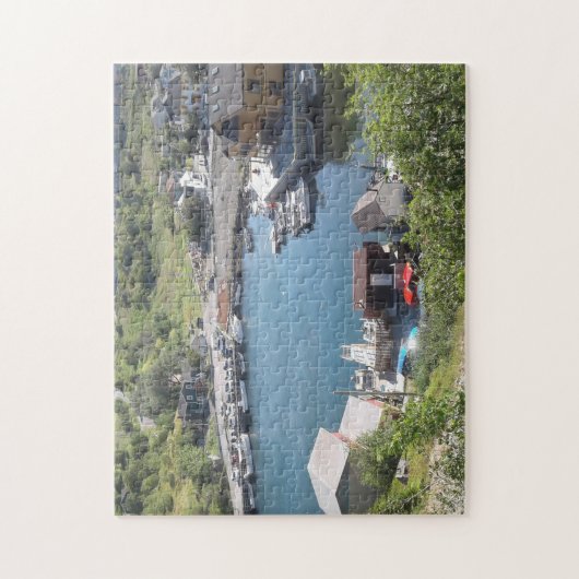 Quidi Vidi Village Puzzle (Vertikal)