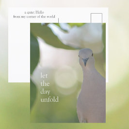 Quiet Bird Moment – Let the Day Unfold Dove Postkarte
