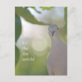 Quiet Bird Moment – Let the Day Unfold Dove Postkarte (Vorderseite)