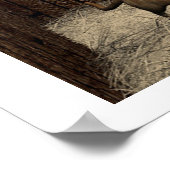 Quiet Companions Poster (Ecke)