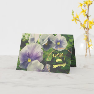 Quiet Conversations Violets~Ostergrusskarte Karte