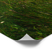 Quiet Dock in the Upper Peninsula Poster (Ecke)