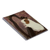 Quiet Recital – Guinea Pig Notebook Notizblock (Rechte Seite)