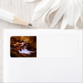 Quiet Stream (Insitu)