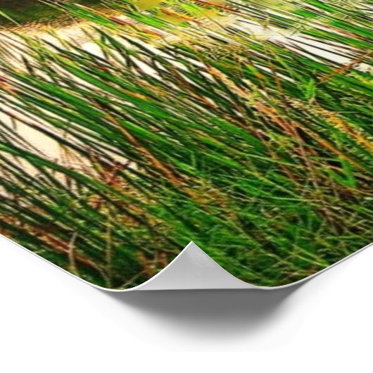 Quiet Stream Poster (Ecke)