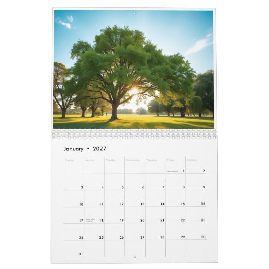 Quiet Time With a Big Tree  Kalender (Jan 2027)