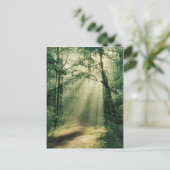 Quiet Walkway Postkarte (Stehend Vorderseite)