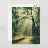 Quiet Walkway Postkarte (Vorne/Hinten)