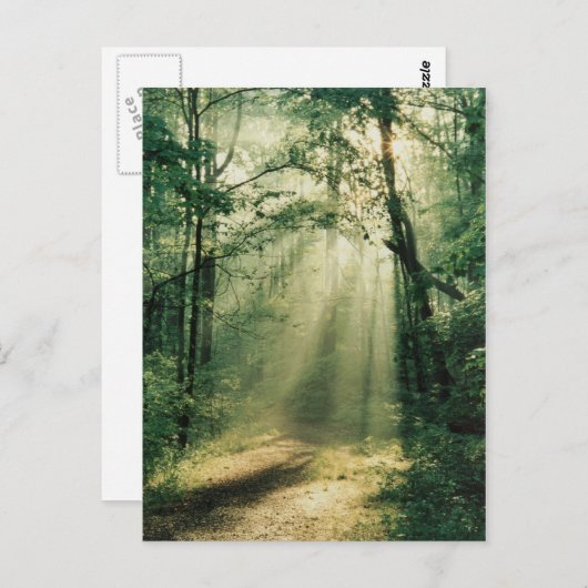 Quiet Walkway Postkarte (Vorne/Hinten)