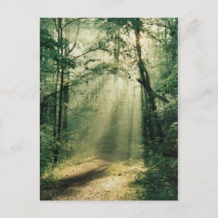 Quiet Walkway Postkarte