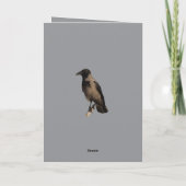 Quiet Watcher The Hooded Crow Karte (Rückseite)