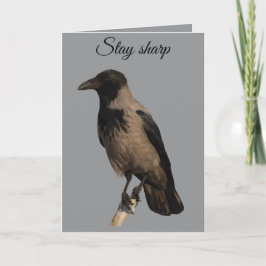 Quiet Watcher The Hooded Crow Karte