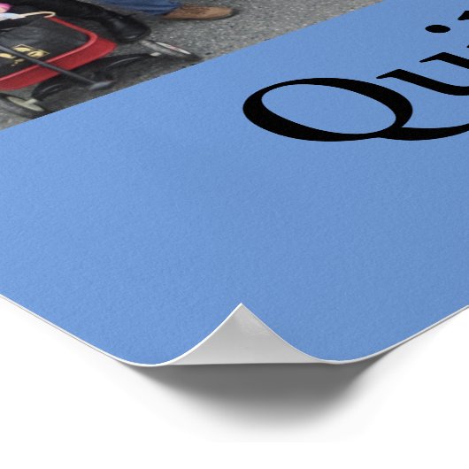 Quilcene Community 2015 Poster (Ecke)