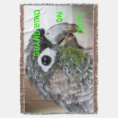 Quill City Decke (Vorderseite Vertikal)