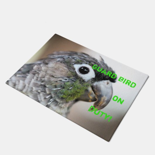 Quill City Fußmatte (Schrägansicht)