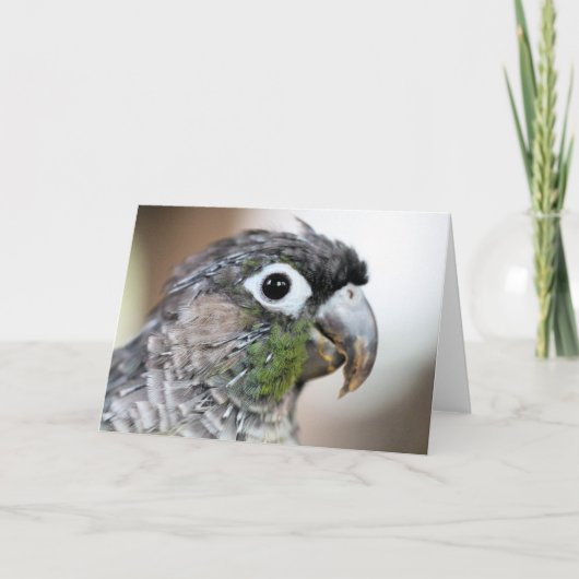 Quill City Karte (Vorderseite)