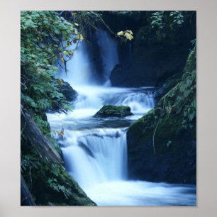 Quinalt Waterfall Canvas Print Poster