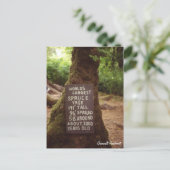 Quinault Rainforest Postkarte (Stehend Vorderseite)