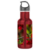 Quince Branch Painterly Stainless Steel Water Bott Edelstahlflasche (Rückseite)