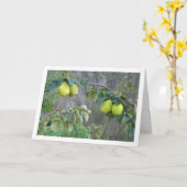 Quince Fruit Card Karte (Gelbe Blume)