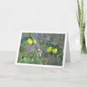Quince Fruit Card Karte (Vorderseite)