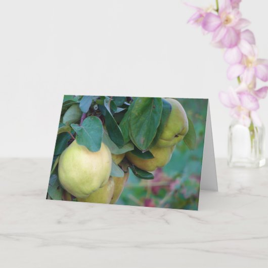 Quince Fruit Card Karte (Orchidee)