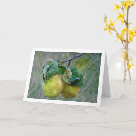 Quince Fruit Karte (Gelbe Blume)