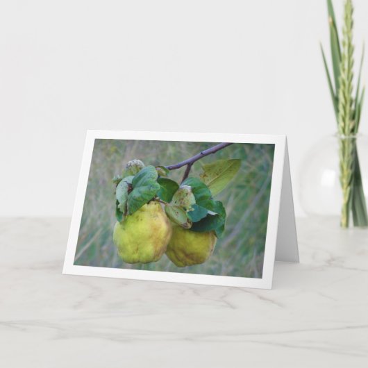 Quince Fruit Karte (Vorderseite)