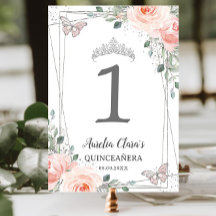 Quinceañera Birthday Blush Pink Floral Butterflieg