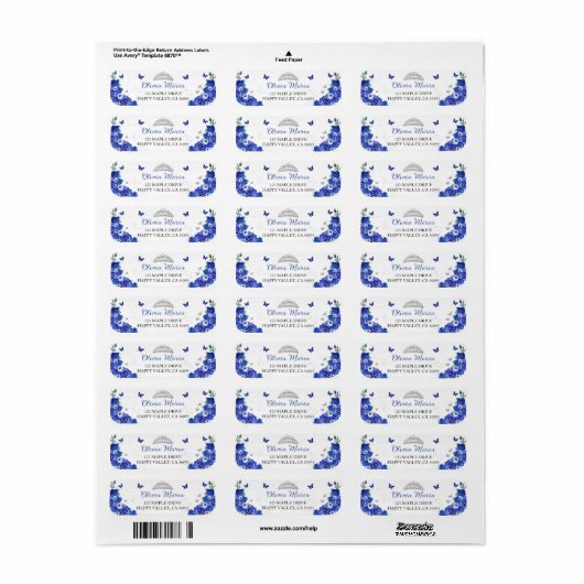 Quinceañera Blue Floral Silver Butterfells Rede (Vorne)