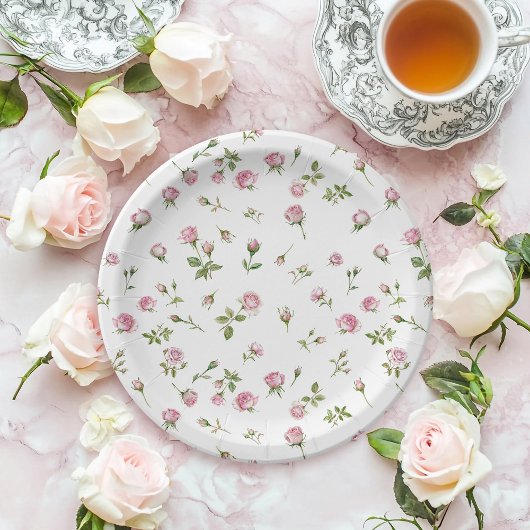 Quinceanera Blush Pink Rose Geburtstag Pappteller