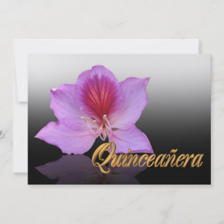 Quinceanera Einladung 15. Geburtstag elegant