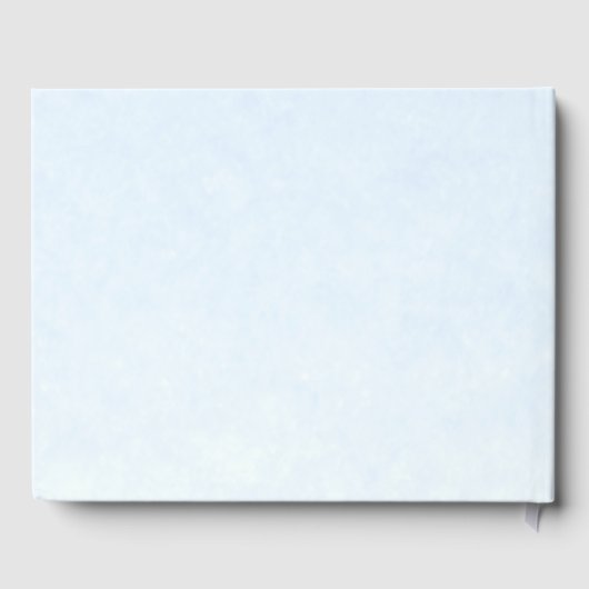 Quinceanera Gästebuch Dusty Blue Gold Fossil (Rückseite)