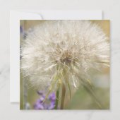 Quinceanera Geburtstags-Massen-Löwenzahn Einladung (Rückseite)